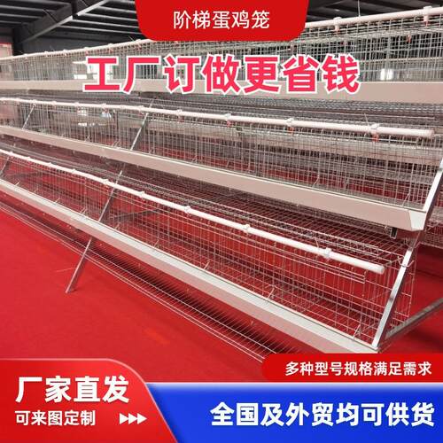 三层五门蛋鸡笼热镀锌材质厂家直供养殖笼养鸡设备阶梯式立体式