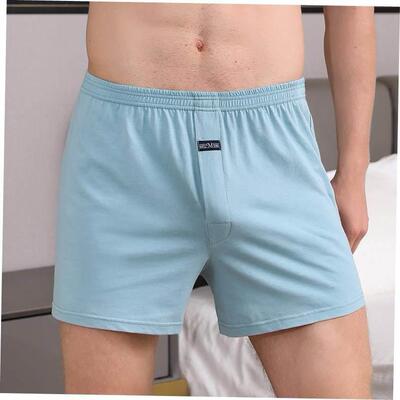 4X Men's boxer briefs loose men boxers underpants under