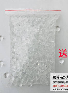 水培培植营养营养固定栽培基质