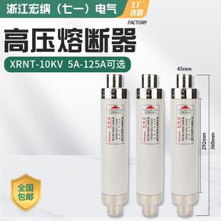 12KV10A20A40A50A63安80A100A箱变保险管丝 高压限流熔断器XRNT10