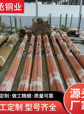 加工大口径厚壁T2紫铜管 地铁站垂直接地体50x5x2500mm 纯铜管