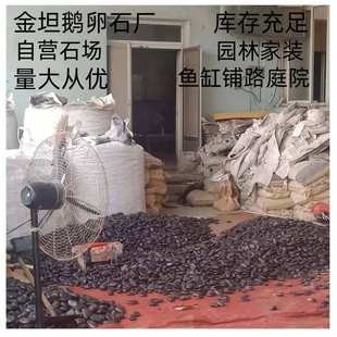 精品鹅卵石公园铺路抛光雨花石水池鱼缸垫底造景石厂家批发