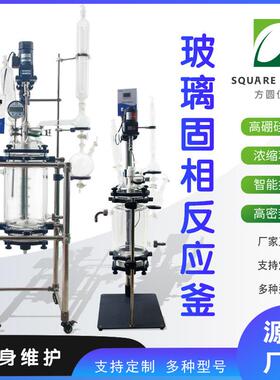 固相反应釜实验室双层玻璃反应釜数显搅拌砂芯过滤釜5L50L100L