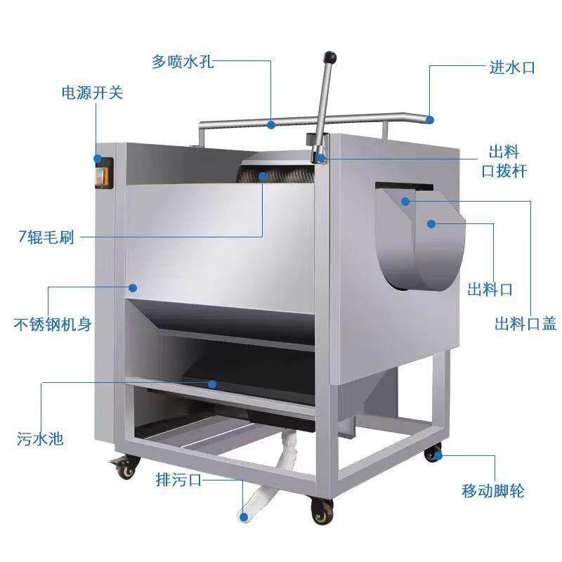 全自动商用毛辊去皮机土豆红薯萝卜莲藕生姜猪蹄脱皮清洗机
