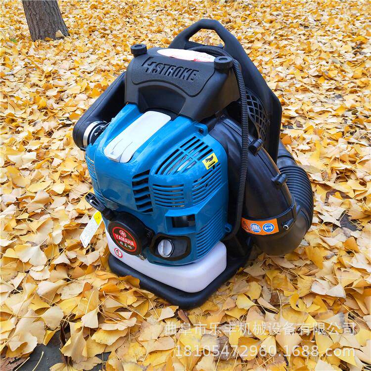 四冲程铁路专用背负式吹雪机 路面落叶积雪吹风机 价格优惠