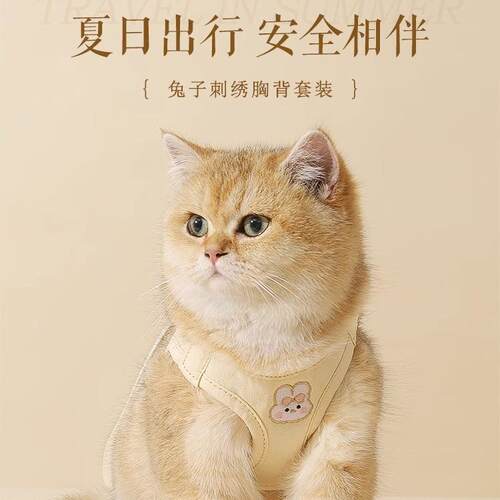 猫咪牵引宠物背带背心猫牵引绳