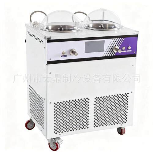 新款酸奶冷萃机110V2缸冰激凌机gelatomachine手工冰淇淋机
