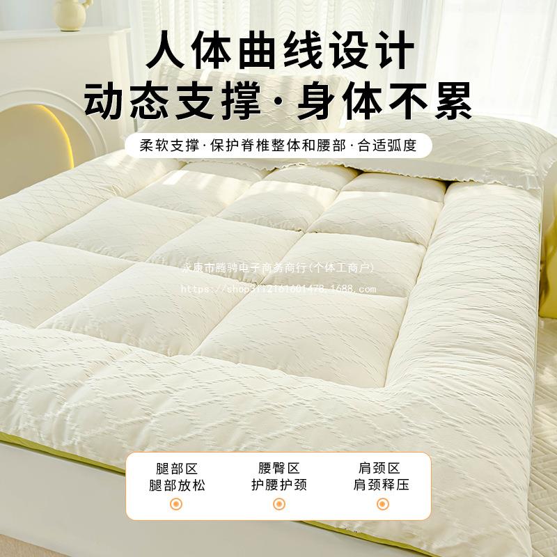 丝绒垫被被褥被子褥子床垫软垫家用双人学生宿舍单人床垫褥铺底