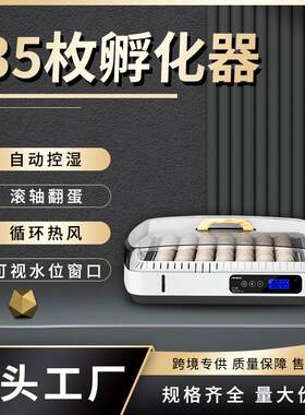 家用小型全自动孵化5枚竞技场小鸡孵化器incubator孵蛋器孵化机