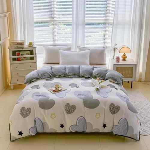 全棉加绒被套用件家A纯棉单被B法兰2022812绒保暖罩单双人加厚珊