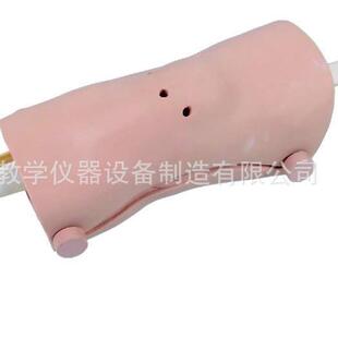 膝关节镜检查模型膝关节镜检查模型膝关节镜检查模型膝关节镜检查