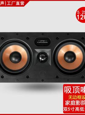 新品环绕立体声双5寸吸顶喇叭嵌入式墙壁音箱吊顶音响影院音效