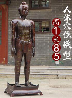 大号穴位人纯铜针灸人模型医院诊所中医人体全身经络穴位模特铜人