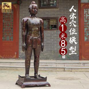 大号穴位人纯铜针灸人模型医院诊所中医人体全身经络穴位模特铜人