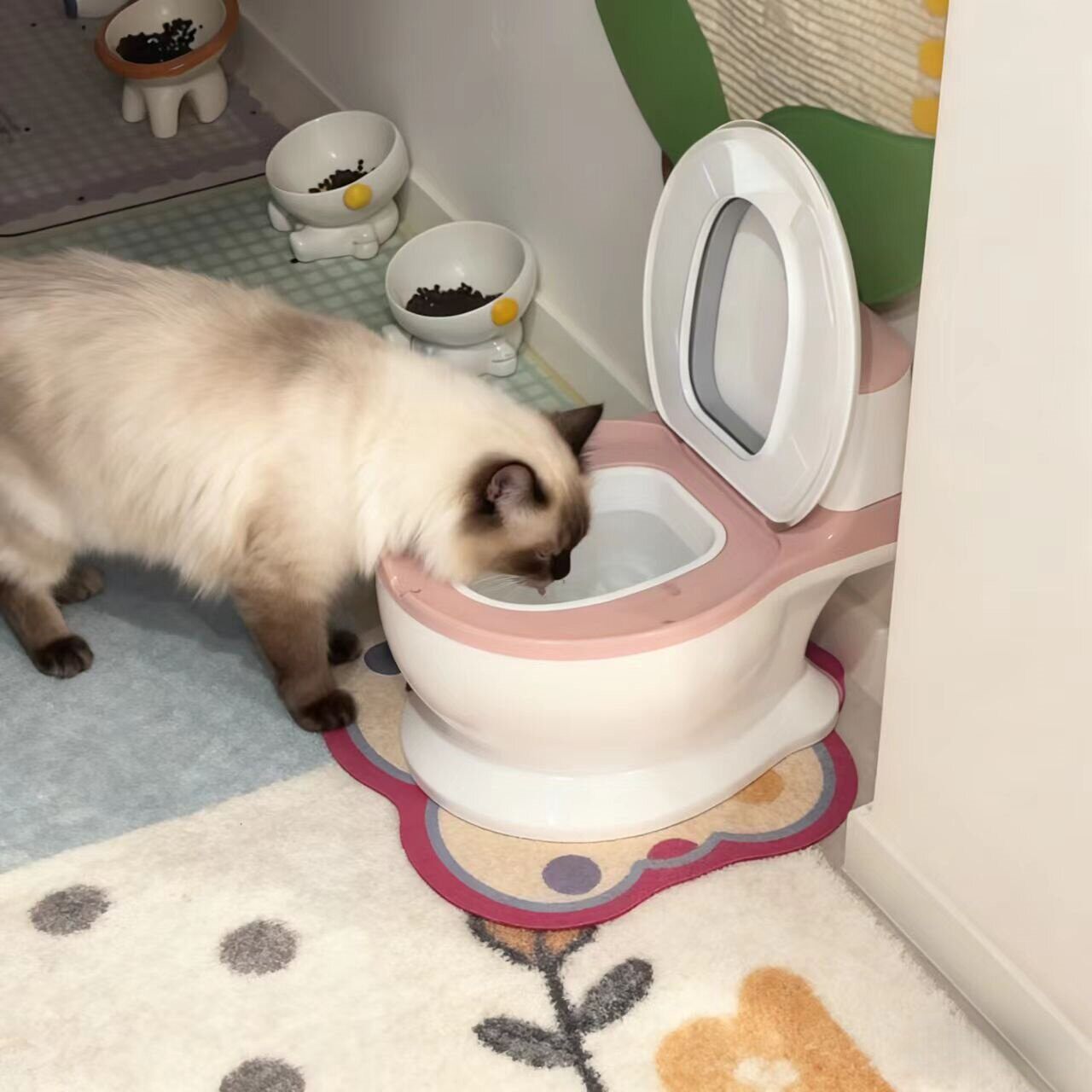 猫咪马桶饮水机宠物防打翻水碗狗狗专用大容量饮水器喝水护颈水盆