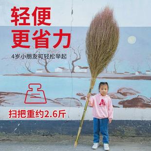 铁扫把金丝草扫帚家用庭院农村工厂天然植物草扫地手工草扫把 新品