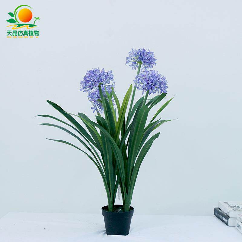 天昆仿真洋水仙盆栽植物室内装饰人造洋水仙园艺摆放精致仿真植物