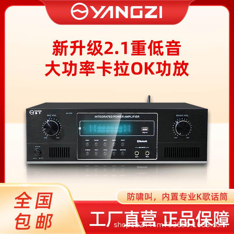 扬子208专业大功率KTV功