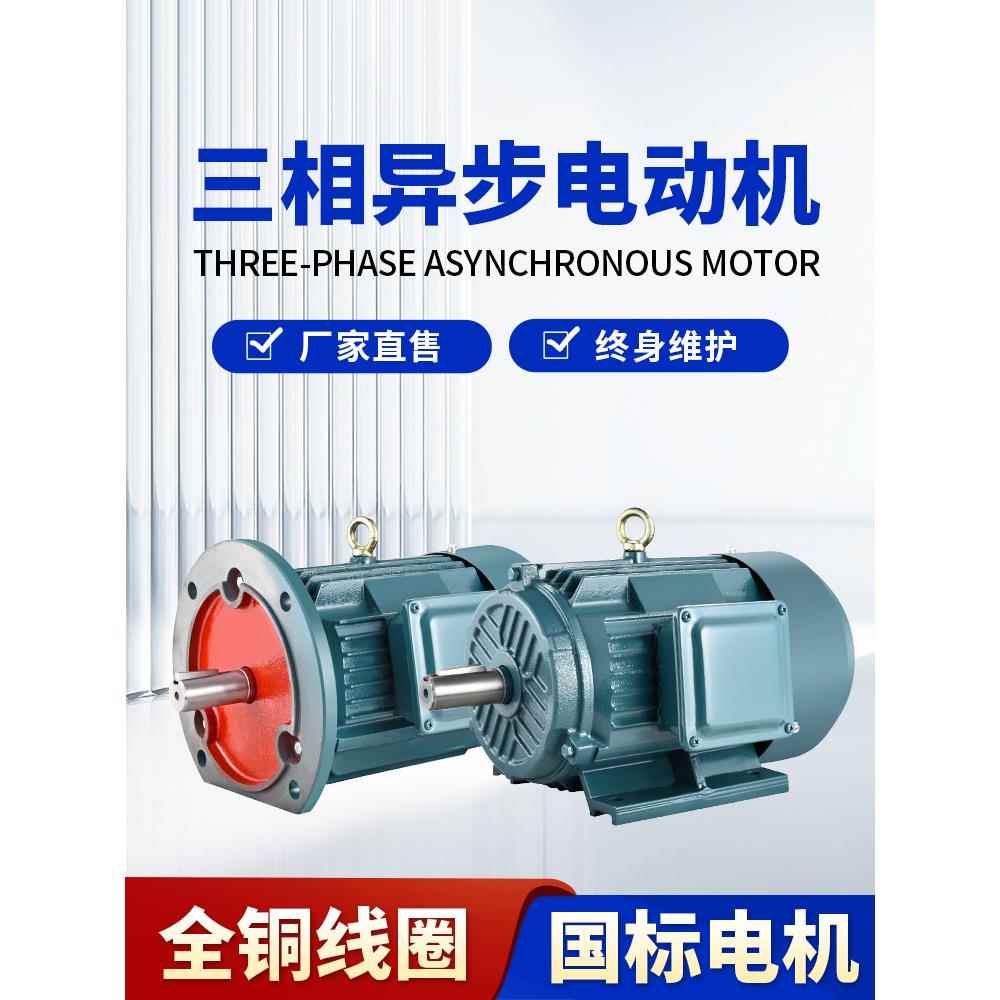 三相异步电机Y112M-6 2.2Kw/Ye3-112M-2 4Kw全铜新国标电机380V