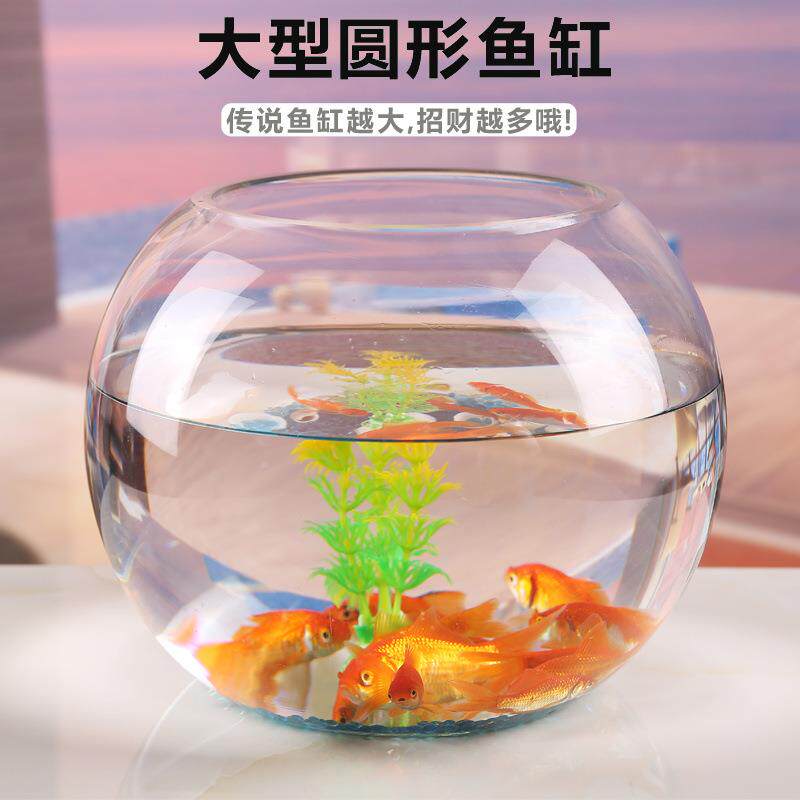 50CM超大号鱼缸玻璃透明加厚特大号圆球大圆缸圆形客厅大肚圆球形