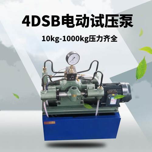 4DS(Y)B电动试压泵压力自控电动试压泵管道阀门打压机现货