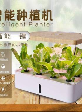 室内种菜机家用水耕水培无土栽培蔬菜番茄花卉育苗种植箱
