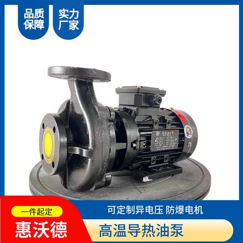 高温导热油泵RGZ-10/20模温机泵浦热水循环泵