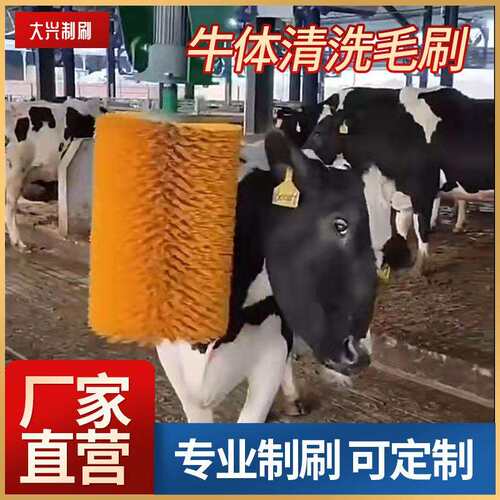 全自动摆动牛体刷蹭痒刷牛场奶牛按摩刷辊牛体清洗毛刷旋转按摩刷