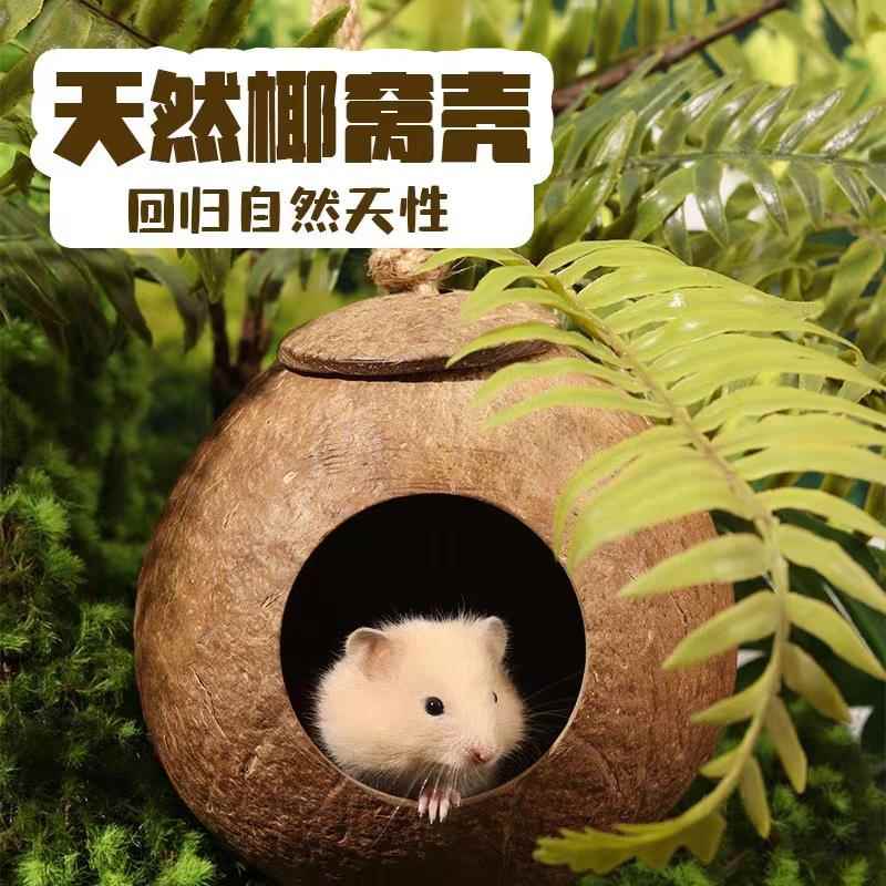 仓鼠蜜袋鼯椰子窝手工椰子壳小动物木质躲避窝金丝熊鹦鹉鸟窝用品