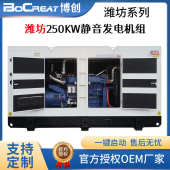 柴油发电机组刷无备用250kw潍坊静音发电机电源380v工厂