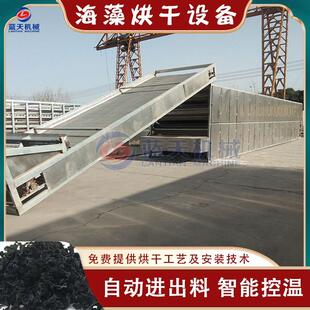 网带式海藻烘干设备 海根菜海带花脱水烘干流水线 大型海藻烘干机