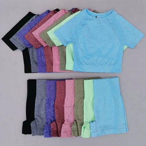 Summer Seamless Yoga Sets Women Gym Clothes Sport Suits High