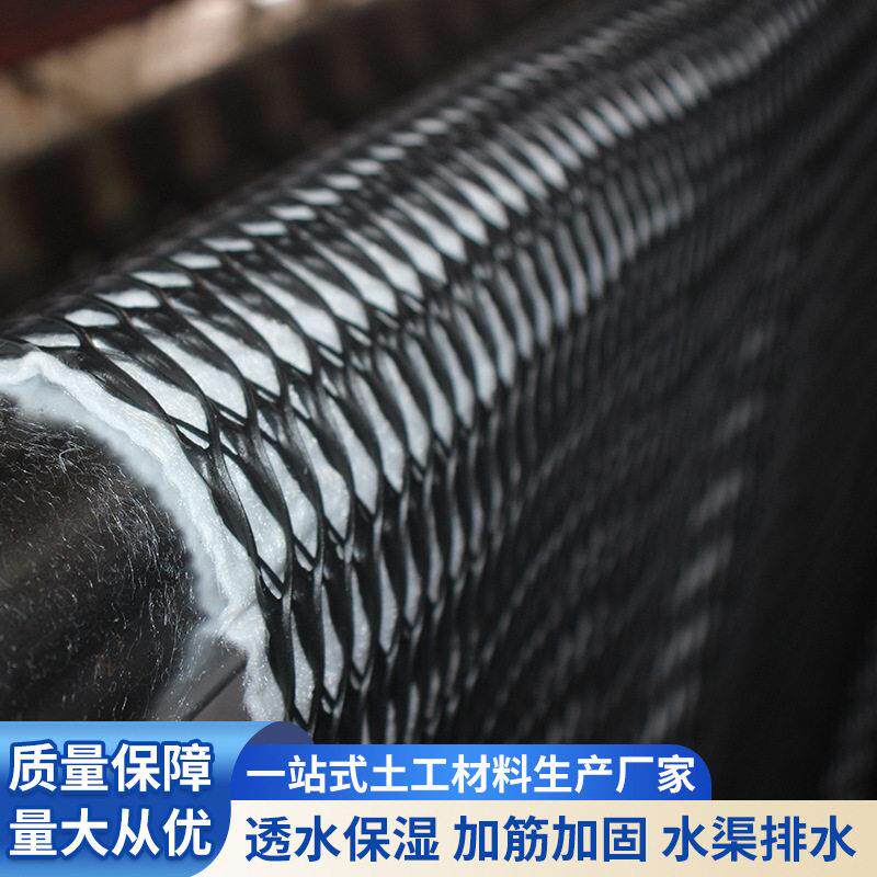 三维复合排水网垃圾填埋场复合网路基地铁隧道工程土工复合排水网