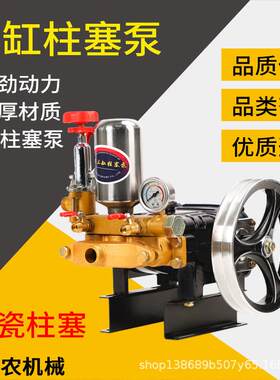 22/26型高压柱塞泵打药机水泵头喷雾器农用洗车陶瓷打药泵喷药机