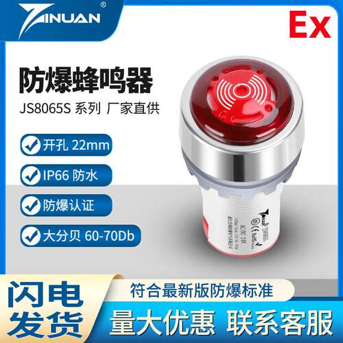 JS8065S防爆防尘防水IP66闪光蜂鸣器声光报警灯器24V220V钻孔22mm
