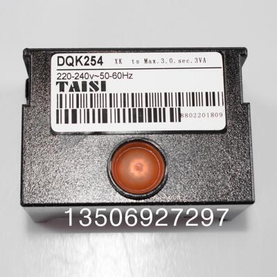 DQK254原装程控器LMG21.384A171台思TAISI程序控制器LOG25.130B28