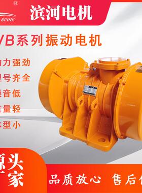 VB-75374-W系列振动电机3KW4级震动电机三相异步通用型XVB-75-4