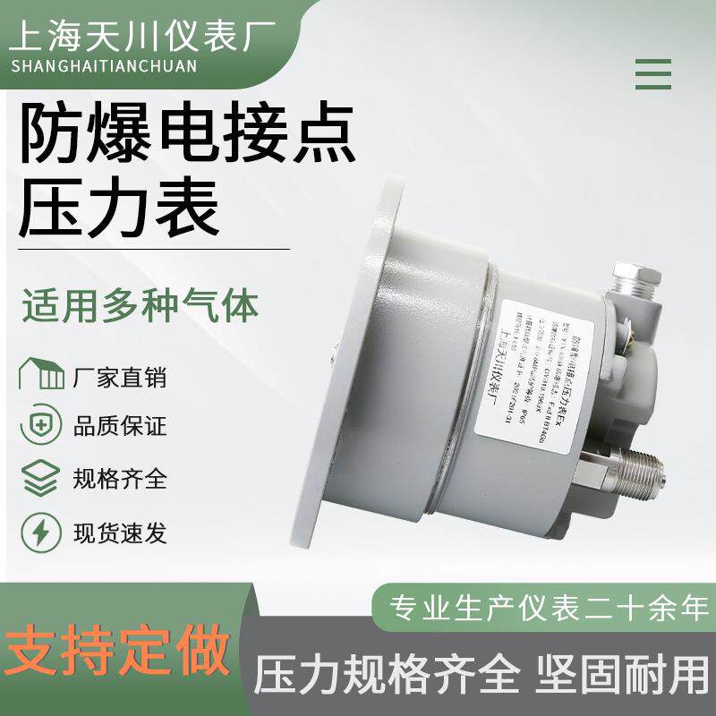 YTX-100B-ZT防爆电接点轴向带边压力表 厂家生产 天川仪表BT4 CT6