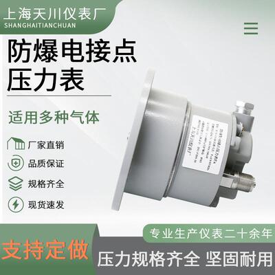 YTX-100B-ZT防爆电接点轴向带边压力表 厂家生产 天川仪表BT4 CT6