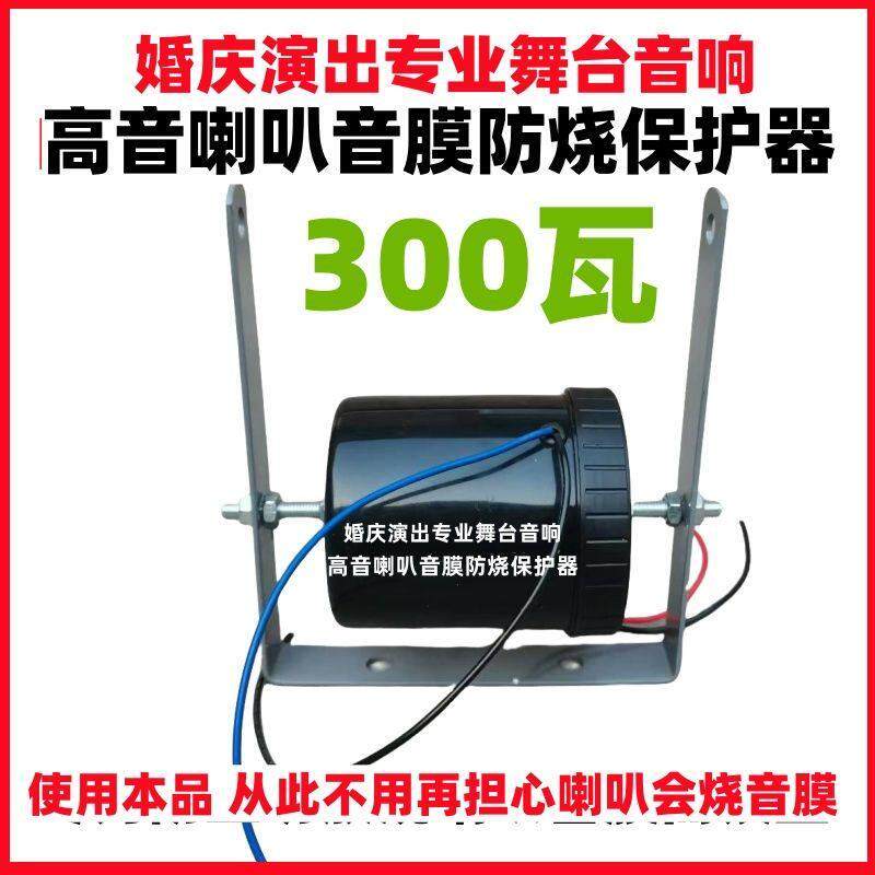 50W100W200W300W500W600W舞台高音音膜防烧保护器高音保护分频器