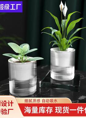 自动吸水懒人盆透明创意绿萝盆栽水培塑料圆形花盆自吸水绿植
