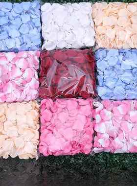 模拟婚礼玫瑰花瓣婚礼生日装饰无纺布绢花舞台建议手散花金银