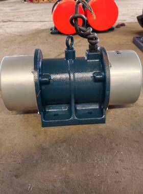 XVM-A100-6振动电机全封闭结构防尘防潮粮食医化工震动电机