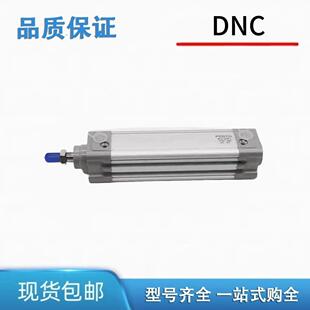 250 500 标准气缸DNC 125 PPV 200 100 300