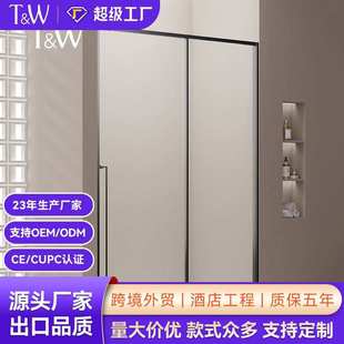 家用屏风隔断浴室卫生间隔断玻璃门 TW特拉维尔一字形淋浴房一体式