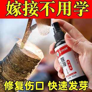 AIKEBO树木嫁接伤口愈合剂树枝干盆景绿植树皮涂膜剂果树切口修复