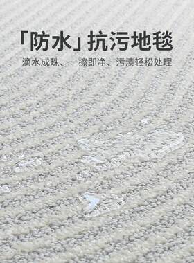 防水抗污地毯客厅意式简约轻奢高级卧室床边沙发家用耐脏易打理