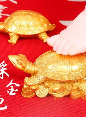 金钱龟抓周道具踩金龟周岁礼宝宝一周岁摆件生日布置男孩女孩通用
