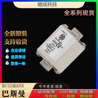 巴斯曼170M2717 170M2718 170M2719 厂家原装优价供应 原装熔断器