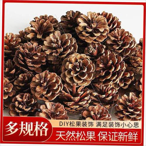 Larch Christmas decoration pinecone dried flowers DIY
